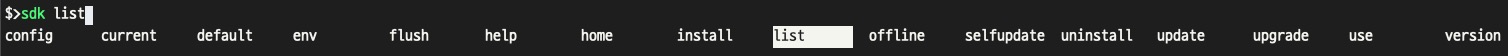 sdkman list 출력
