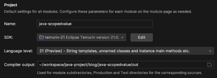 intellij 프로젝트 JDK 21 preivew 설정
