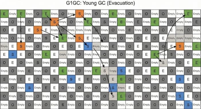 G1GC Young GC