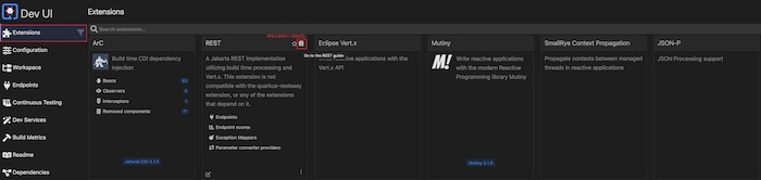 Dev Mode에서 애플리케이션이 사용중인 Extension 확인 및 가이드 문서 찾기