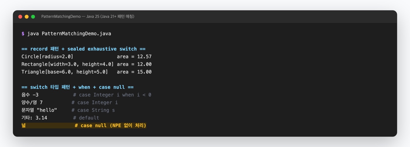 Java Pattern Matching 실행 결과 - record 패턴으로 도형 넓이를 계산하고 switch 타입 패턴·when·case null로 값을 분기한 실제 터미널 출력